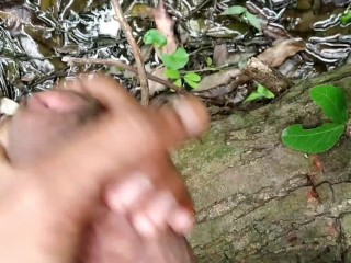 Big Dick, Weasel Words Handjob And Cumshot Involving Outdoor