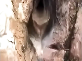 Nature Vagina